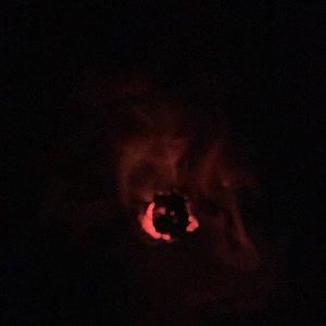 Meet your Posher, Camron